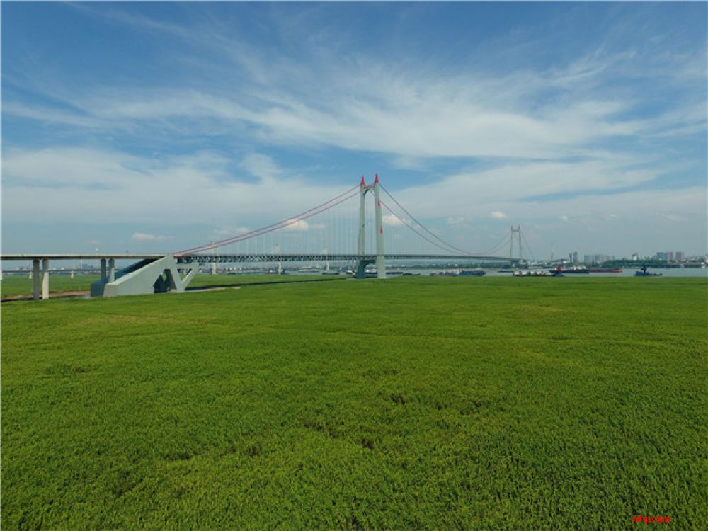 为了美丽的绿水青山——习近平总书记考察生态文明建设回访